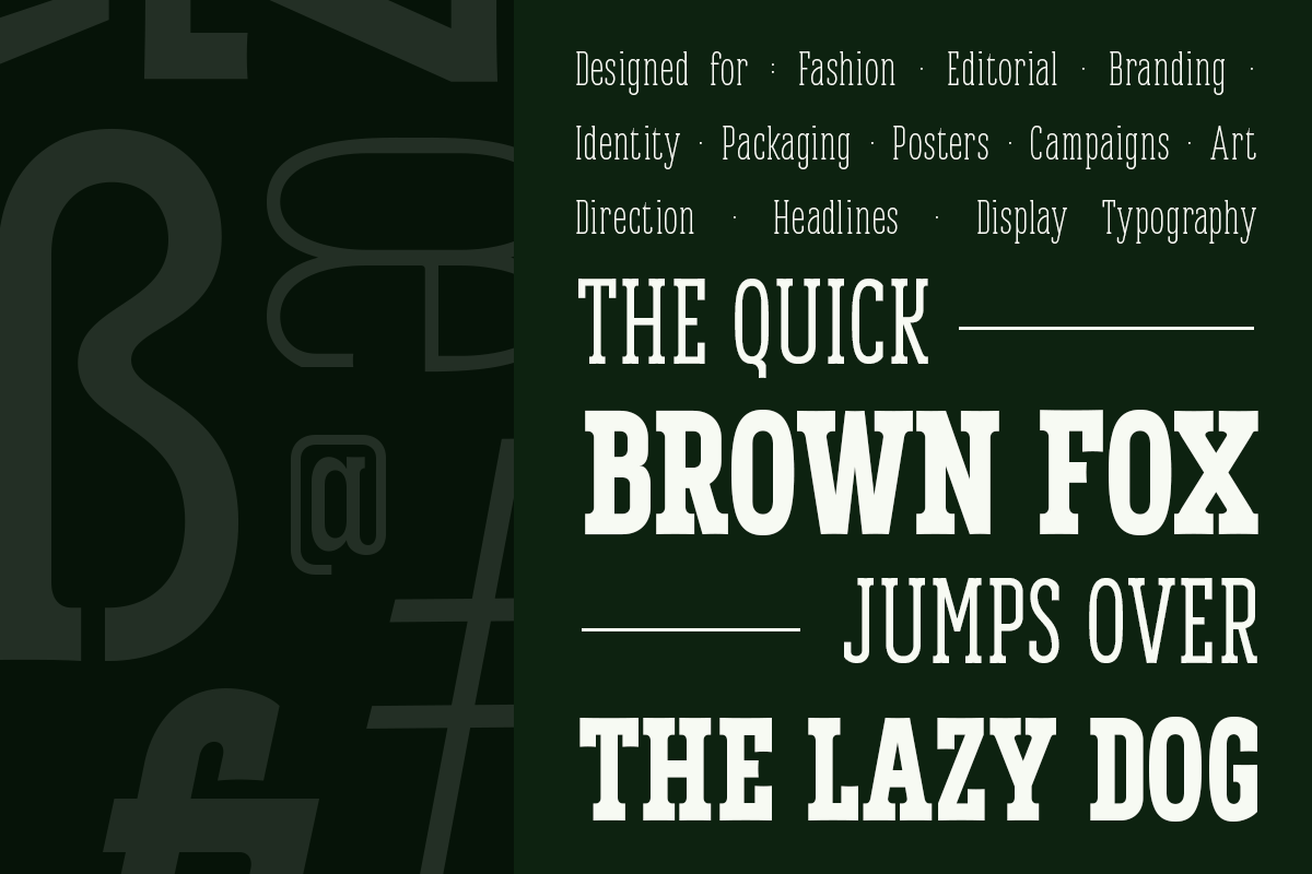 vortiger-modern-western-serif-display-typeface-roomspace-creative-lab-7.png