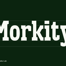 vortiger-modern-western-serif-display-typeface-roomspace-creative-lab-8.png