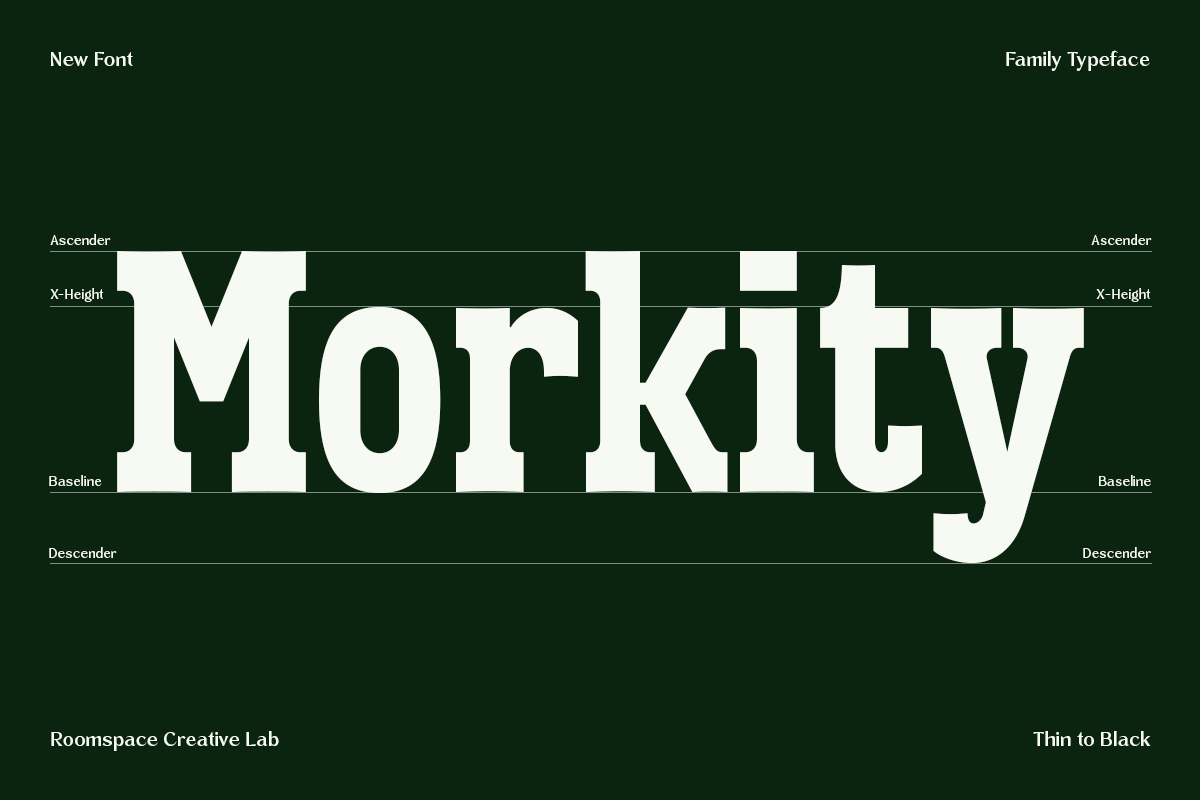 vortiger-modern-western-serif-display-typeface-roomspace-creative-lab-8.png
