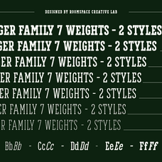 vortiger-modern-western-serif-display-typeface-roomspace-creative-lab-9.png