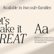 wahiyang-display-serif-typeface-font-catalystco-studio-3.png