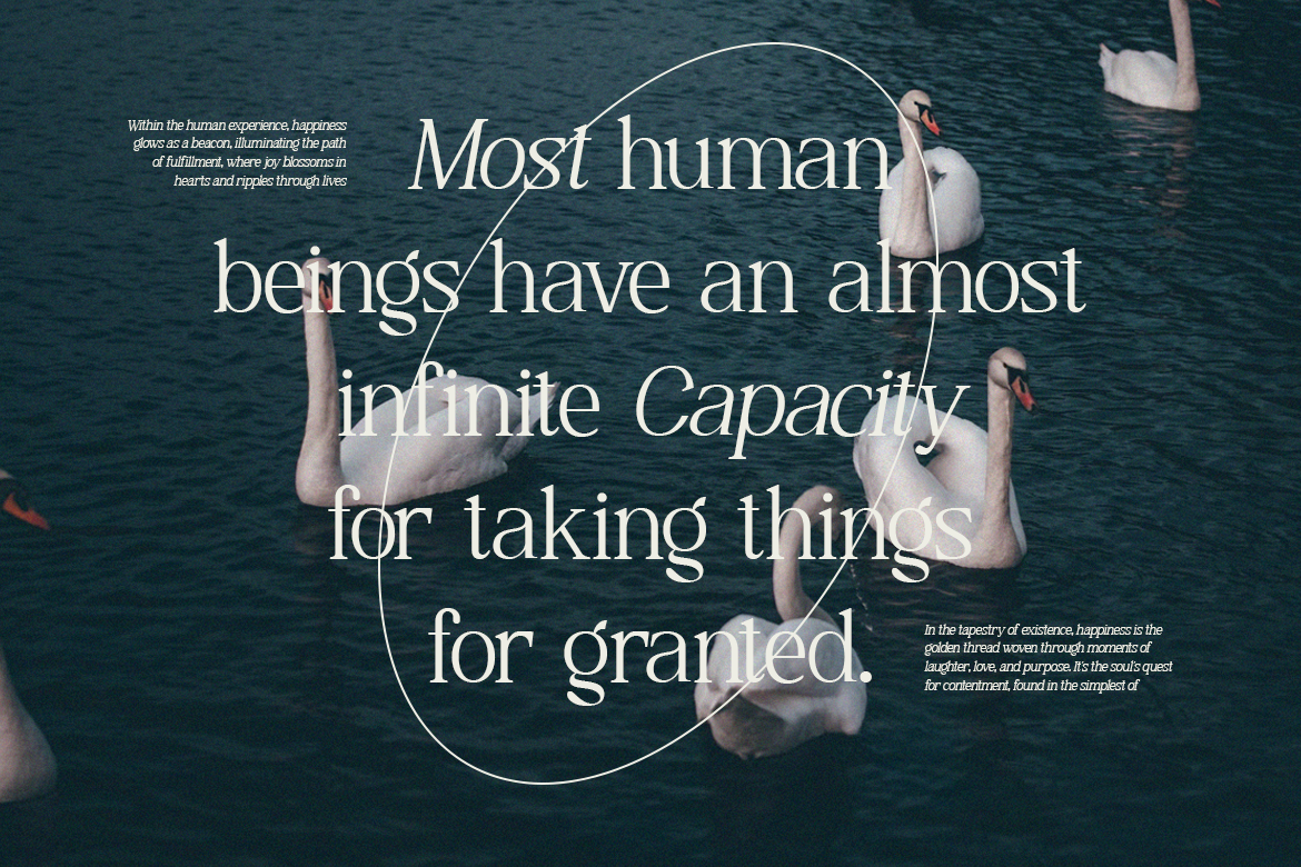 wahiyang-display-serif-typeface-font-catalystco-studio-5.png