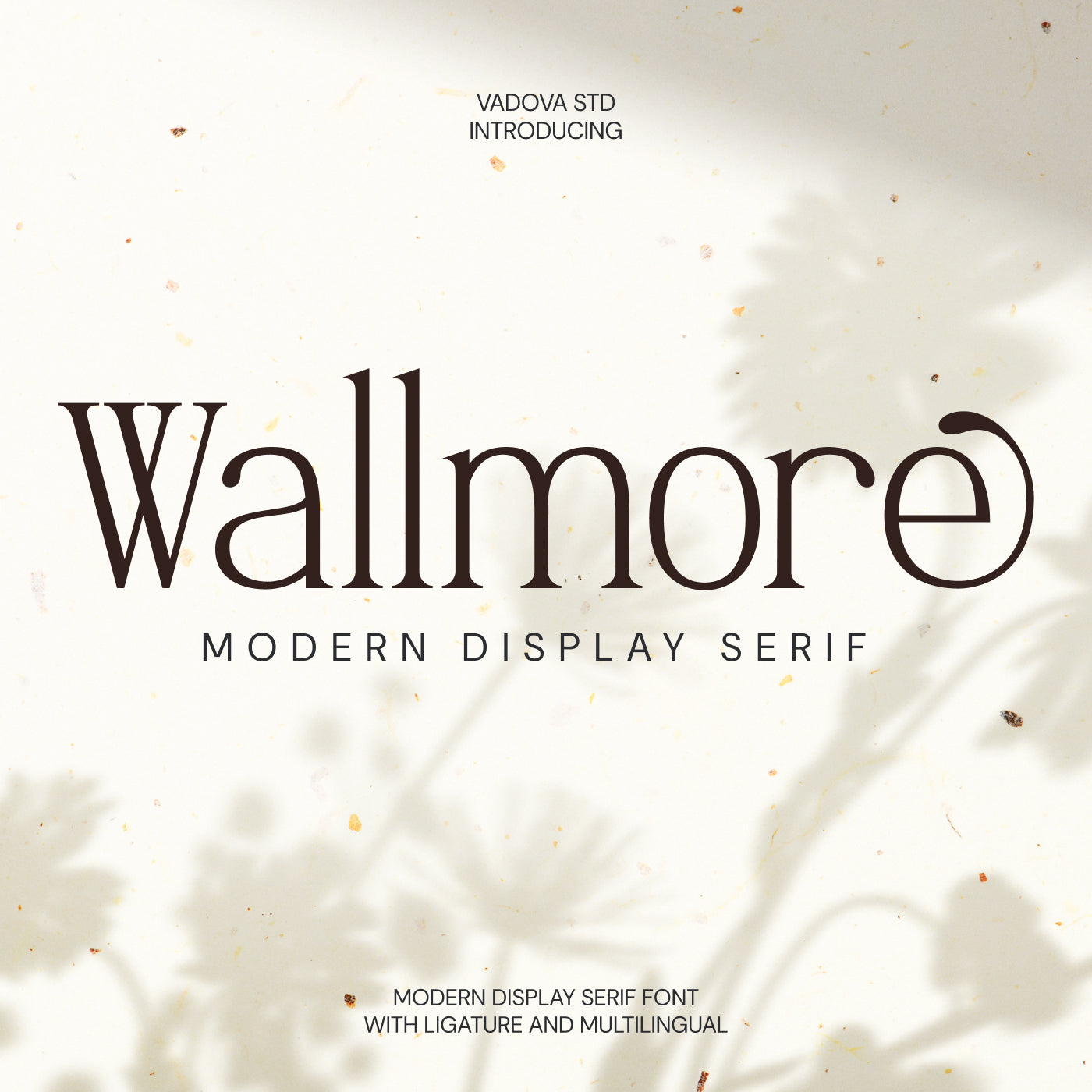 wallmore-modern-display-serif-font-vadova-studio-1.jpg
