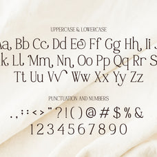 wallmore-modern-display-serif-font-vadova-studio-2.jpg