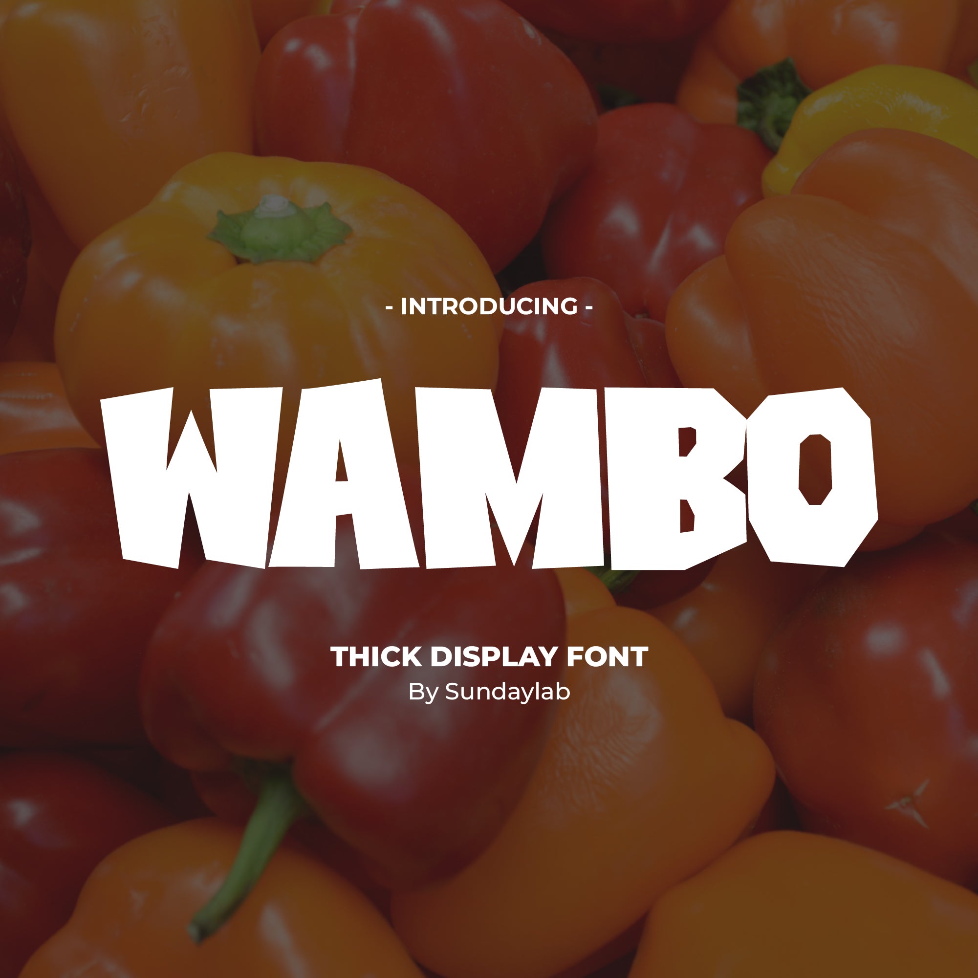 wambo-thick-display-font-sundaylab-1.jpg