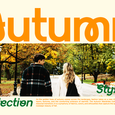 wapilor-stylish-experimental-sans-serif-say-studio-3.png