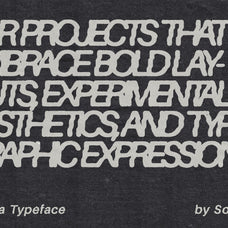warpica-typeface-softulka-7.jpg