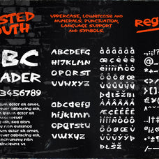 Wasted Youth: A 90s Grunge Brush Font