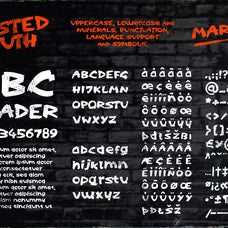 Wasted Youth: A 90s Grunge Brush Font