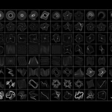 Wave Lines - 100 Vector Shapes