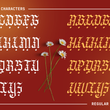 wedgen-holdeza-blackletter-font-unknown-creator-8.png