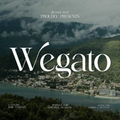 Wegato Stylish Serif Typeface Font