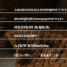 welegants-modern-serif-typeface-font-catalystco-studio-2.jpg