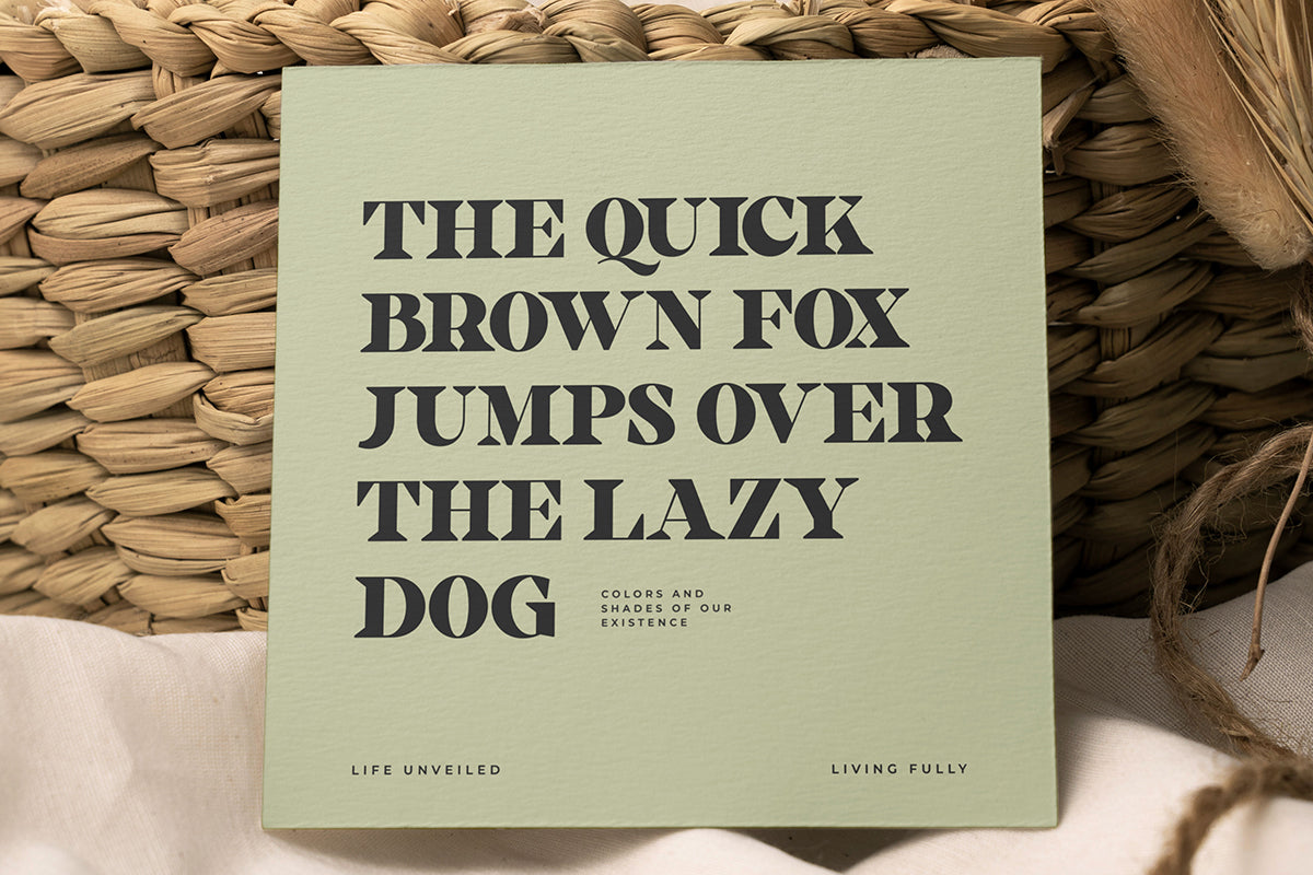 welegants-modern-serif-typeface-font-catalystco-studio-5.jpg