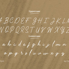 wening-script-elegant-font-catalystco-studio-2.jpg