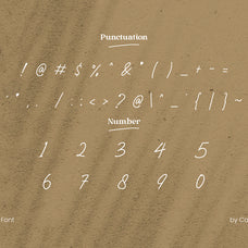 wening-script-elegant-font-catalystco-studio-3.jpg