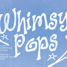 whimsy-pops-curly-handwriting-font-blankids-2.jpg