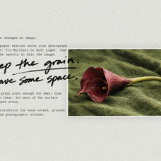White Paper Textures by Pixelbuddha, preview 5