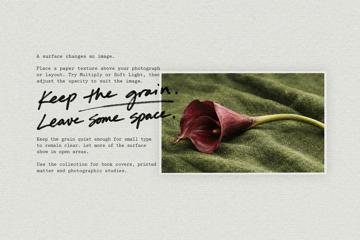 White Paper Textures by Pixelbuddha, preview 5
