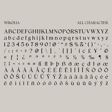 wikolia-craft-supply-co-8.jpg