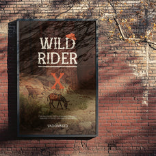 wild-canyon-display-creative-font-vadova-studio-7.jpg