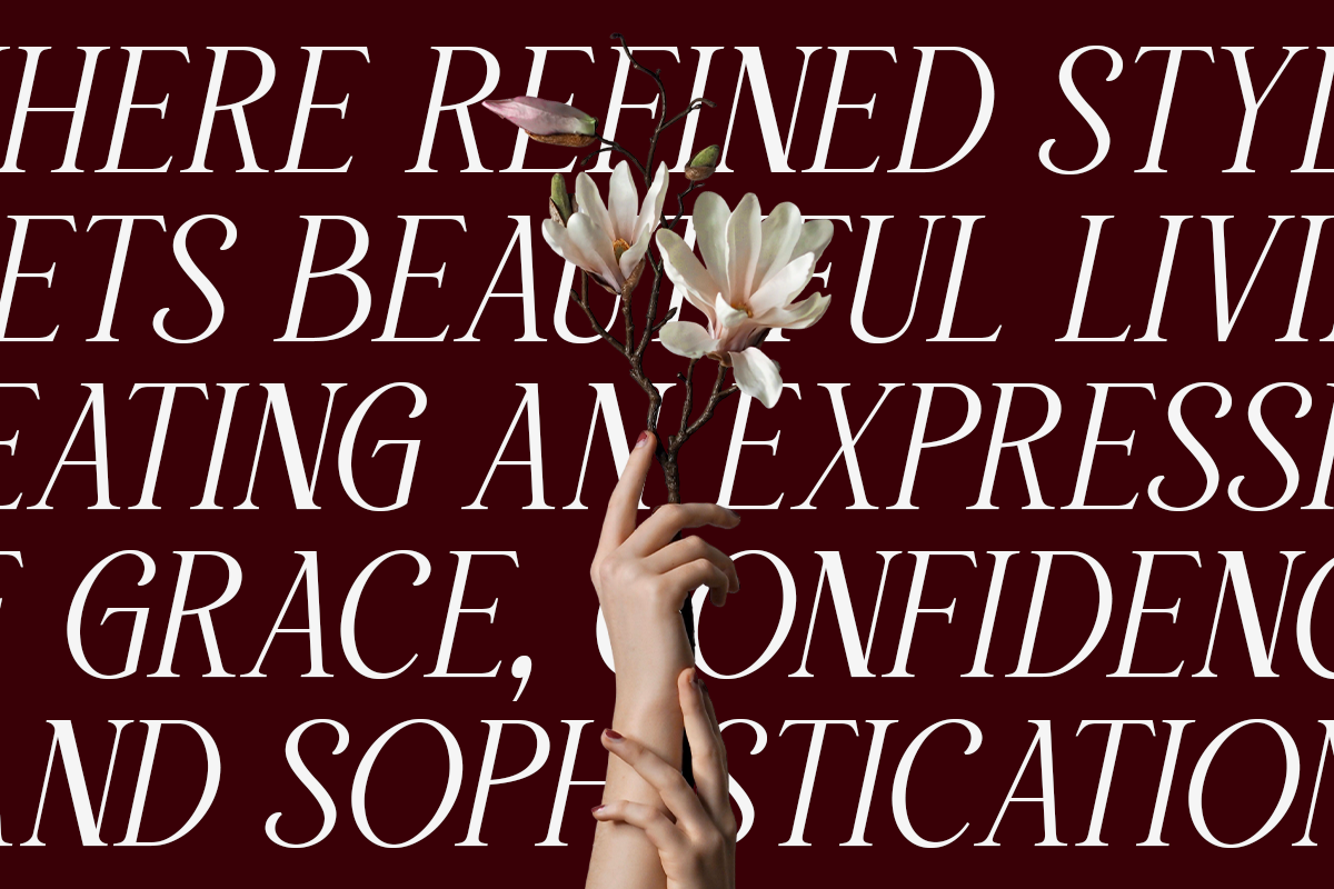 willow-starlion-elegant-modern-serif-font-unknown-creator-5.png