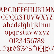 willow-starlion-elegant-modern-serif-font-unknown-creator-8.png