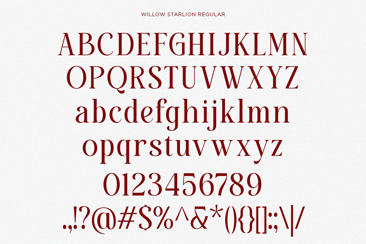 willow-starlion-elegant-modern-serif-font-unknown-creator-8.png