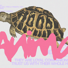 wodien-imperfect-handdrawn-branding-font-enxyclo-studio-6.png