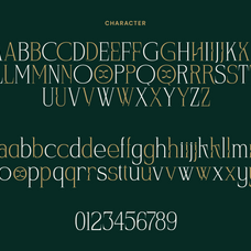 wordstud-luxury-serif-display-font-mooneseye-type-3.png