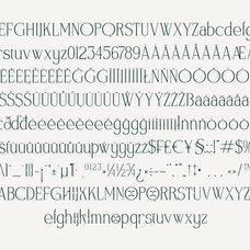 wordstud-luxury-serif-display-font-mooneseye-type-4.png