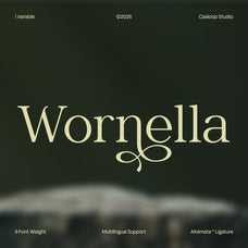 wornella-modern-classy-serif-font-casloop-studio-1.jpg
