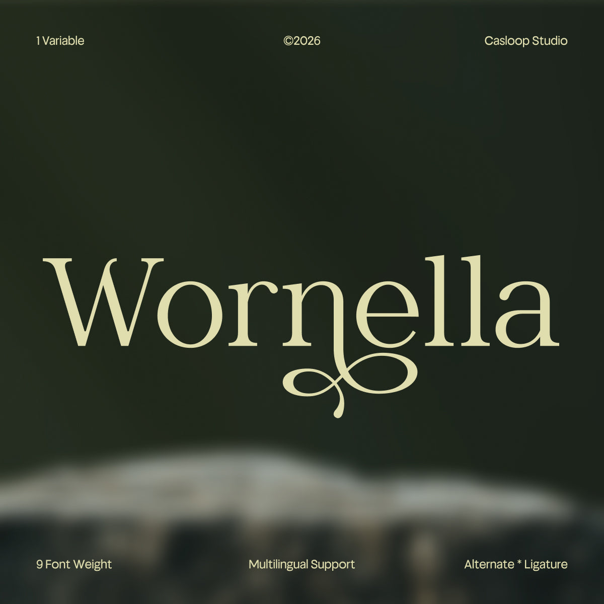 wornella-modern-classy-serif-font-casloop-studio-1.jpg