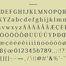 wornella-modern-classy-serif-font-casloop-studio-4.jpg