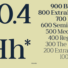 wornella-modern-classy-serif-font-casloop-studio-6.jpg