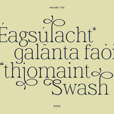 wornella-modern-classy-serif-font-casloop-studio-7.jpg