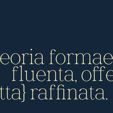 wornella-modern-classy-serif-font-casloop-studio-9.jpg