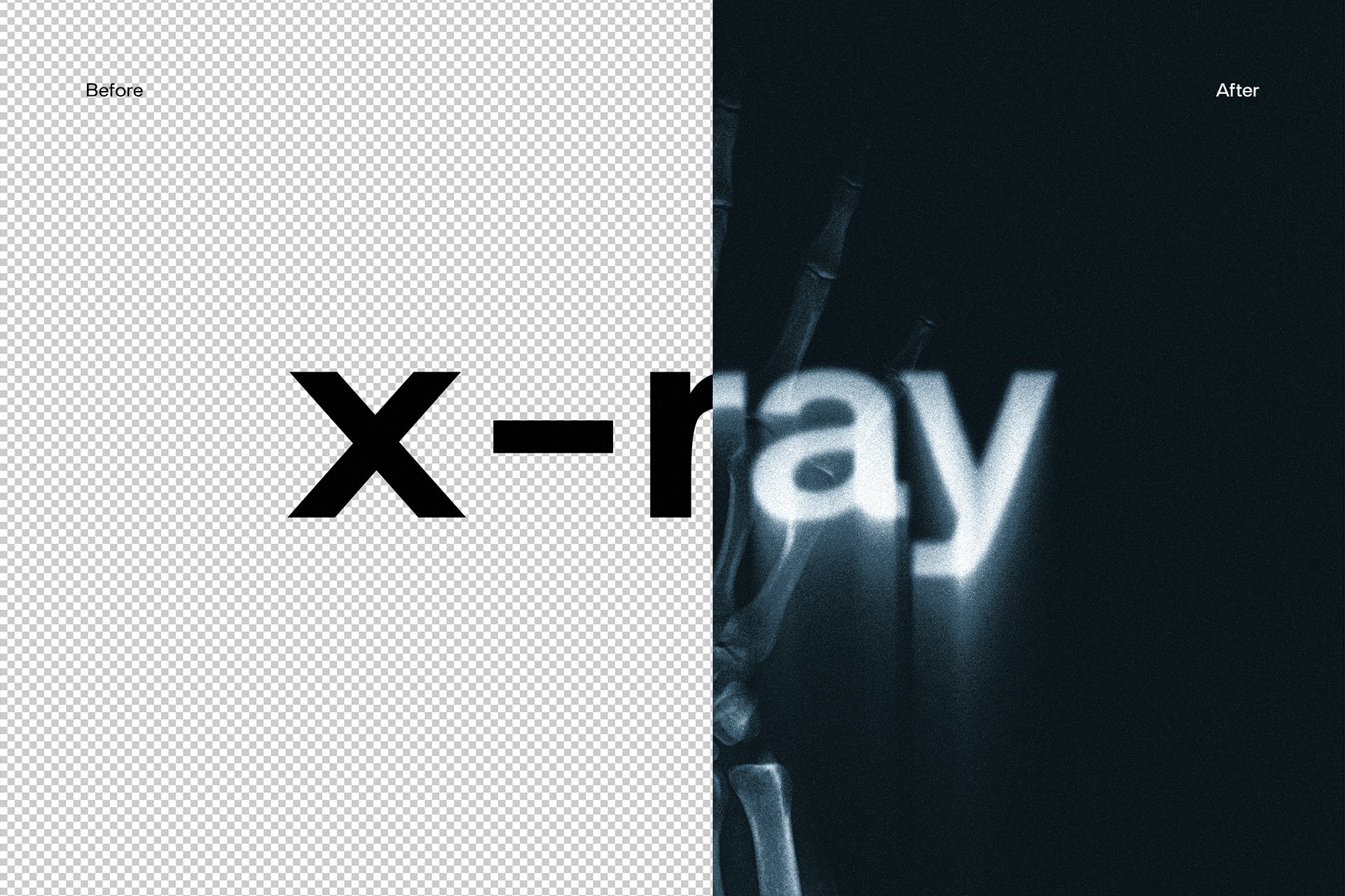 X-Ray Text Distortion
