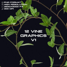 x12-vine-graphics-pack-v1-gfx-database-1.jpg