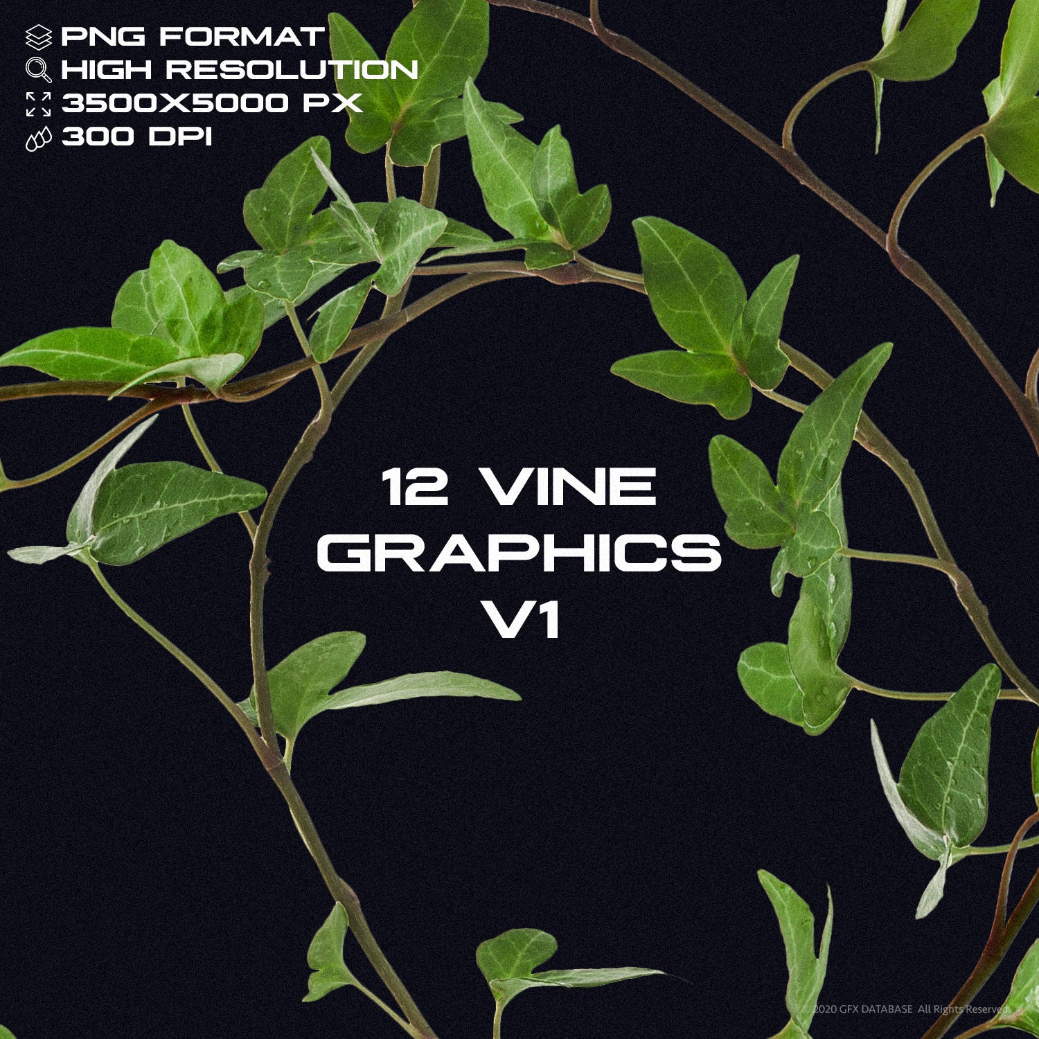 x12-vine-graphics-pack-v1-gfx-database-1.jpg