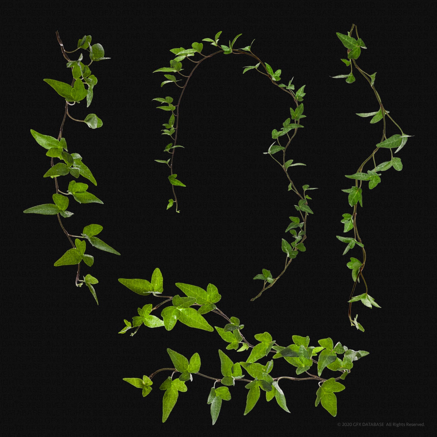 x12-vine-graphics-pack-v1-gfx-database-3.jpg