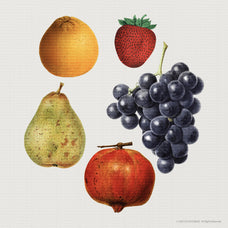 x40-fruit-and-veg-illustrations-v1-gfx-database-2.jpg
