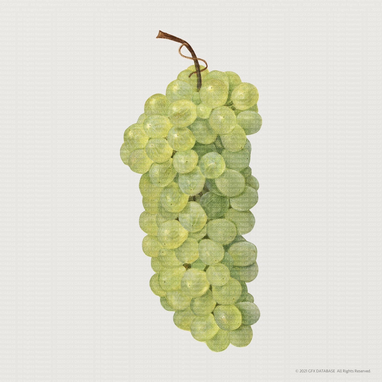 x40-fruit-and-veg-illustrations-v1-gfx-database-3.jpg