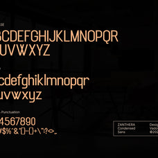 zanthera-condensed-sans-serif-font-vadova-studio-2.jpg