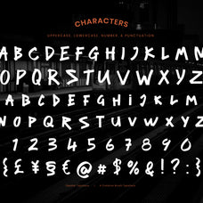 zapster-creative-brush-typeface-font-brandearth-studio-2.jpg