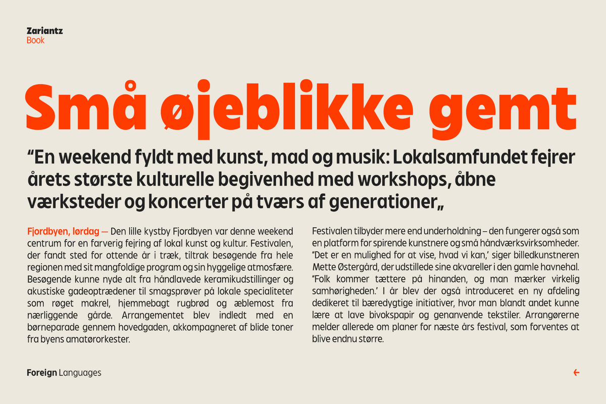 zariantz-book-editorial-modern-sans-variable-font-unknown-creator-10.png