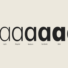 zariantz-book-editorial-modern-sans-variable-font-unknown-creator-2.png