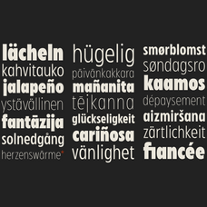 zariantz-grotesk-modern-humanist-sans-variable-font-unknown-creator-8.png