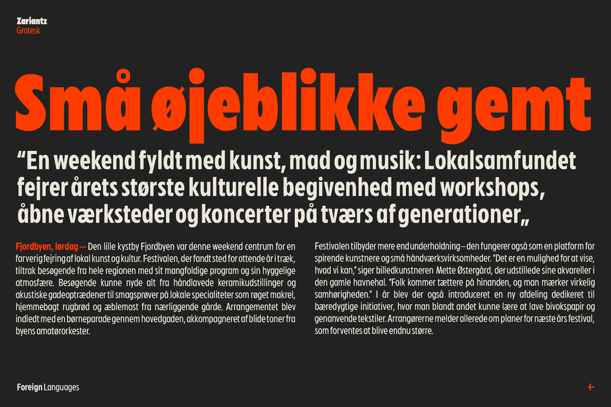 zariantz-grotesk-modern-humanist-sans-variable-font-unknown-creator-9.png