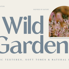 zegion-modern-geometric-sans-serif-roomspace-creative-lab-11.png